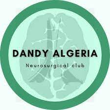 dandy algeria