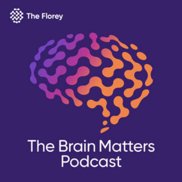 The Brain Matters